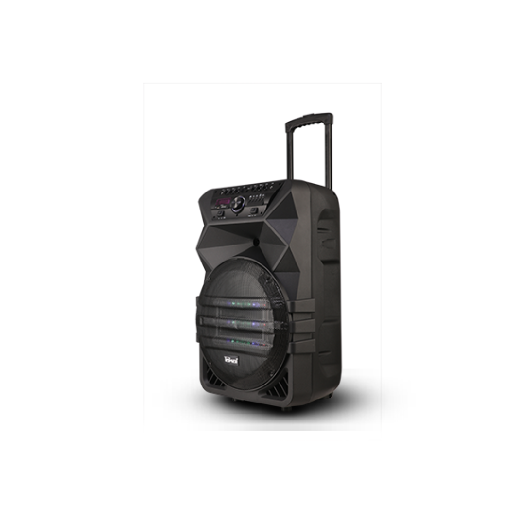 TKI-151 | Professional Portable Speaker System